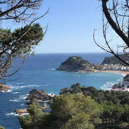 Mediterraneo Casa vacanze