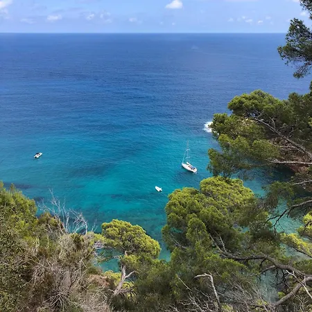 Mediterraneo